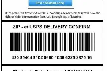 Ein „Paket-Virus“ analysiert